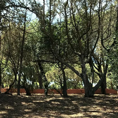 Mica Villa
