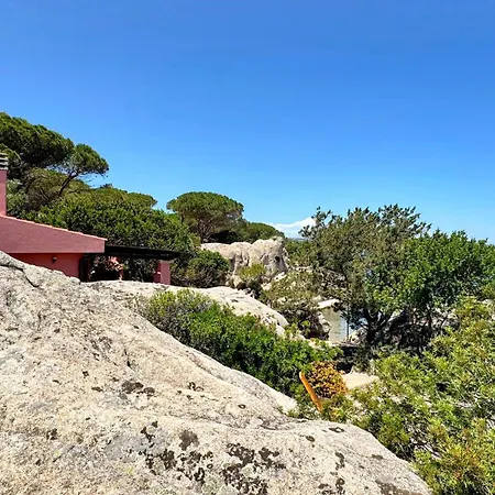 Mica La Maddalena (Sassari)